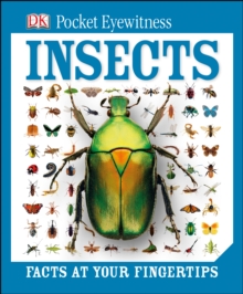 DK Pocket Eyewitness Insects, Hardback Book DK Pocket Eyewitness Insects, Hardback Book