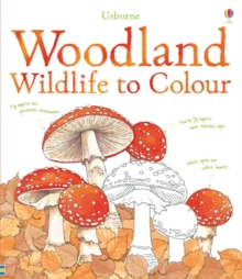 Woodland Wildlife to Colour, Paperback Book Woodland Wildlife to Colour, Paperback Book