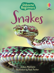 Snakes, Hardback Book Snakes, Hardback Book