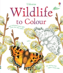 Wildlife to Colour, Paperback Book Wildlife to Colour, Paperback Book