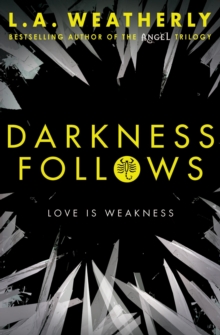 Darkness Follows, Paperback Book Darkness Follows, Paperback Book