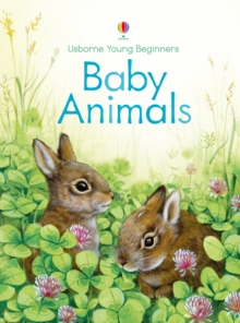 Baby Animals, Hardback Book Baby Animals, Hardback Book