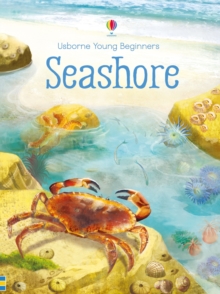 Young Beginners Seashore, Hardback Book Young Beginners Seashore, Hardback Book