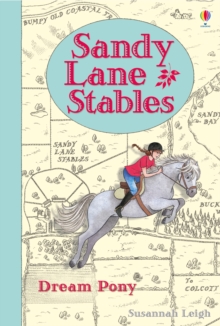 Sandy Lane Stables - Dream Pony, Hardback Book Sandy Lane Stables - Dream Pony, Hardback Book
