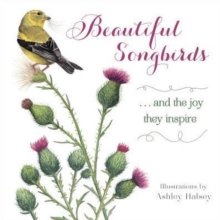 Beautiful Songbirds : ...and the joy they inspire, Hardback Book Beautiful Songbirds : ...and the joy they inspire, Hardback Book