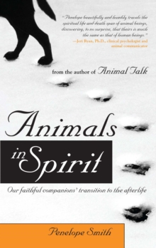 Animals in Spirit : Our faithful companions' transition to the afterlife