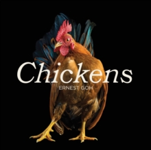 Chickens, Hardback Book Chickens, Hardback Book