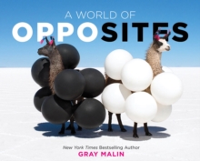 A World of Opposites, Hardback Book A World of Opposites, Hardback Book
