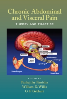 Chronic Abdominal and Visceral Pain : Theory and Practice