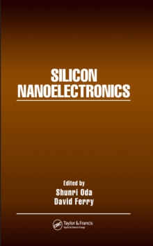 Silicon Nanoelectronics