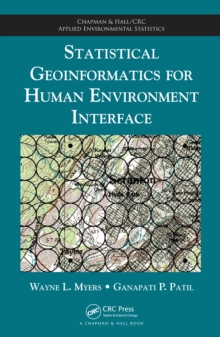 Statistical Geoinformatics for Human Environment Interface