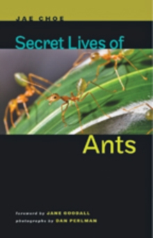 Secret Lives of Ants