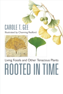 Rooted in Time : Living Fossils and Other Tenacious Plants