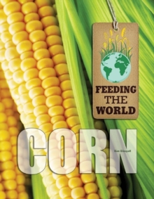 Corn, Hardback Book Corn, Hardback Book