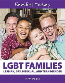 LGBT Families, Hardback Book LGBT Families, Hardback Book