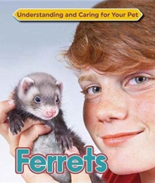 Ferrets, Hardback Book Ferrets, Hardback Book