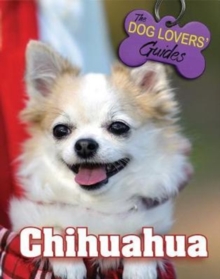 Chihuahua, Hardback Book Chihuahua, Hardback Book
