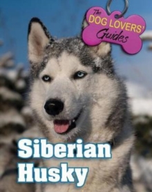 Siberian Husky, Hardback Book Siberian Husky, Hardback Book