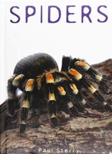 Spiders, Hardback Book Spiders, Hardback Book