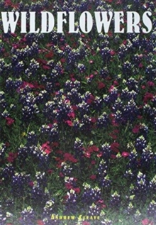 Wildflowers, Hardback Book Wildflowers, Hardback Book