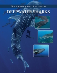 Deepwater Sharks, Hardback Book Deepwater Sharks, Hardback Book