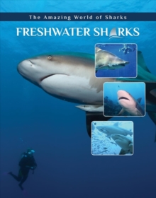 Freshwater Sharks, Hardback Book Freshwater Sharks, Hardback Book