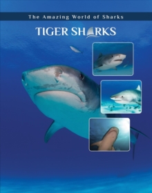 Tiger Sharks, Hardback Book Tiger Sharks, Hardback Book