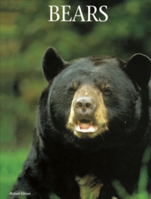 Bears, Hardback Book Bears, Hardback Book