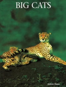 Big Cats, Hardback Book Big Cats, Hardback Book