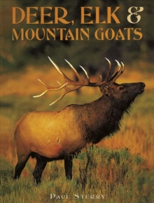 Deer, Elk & Mountain Goats, Hardback Book Deer, Elk & Mountain Goats, Hardback Book