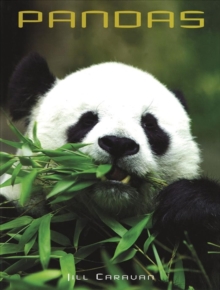 Pandas, Hardback Book Pandas, Hardback Book