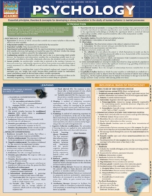 Psychology Easel Book : Psychology 101, Abnormal & Developmental Psychology, Fold-out book or chart Book Psychology Easel Book : Psychology 101, Abnormal & Developmental Psychology, Fold-out book or chart Book