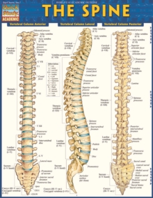 The Spine