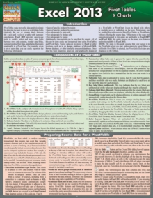 Excel 2013 Pivot Tables &Charts