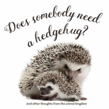 Does Somebody Need a Hedgehug?