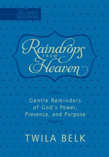 Raindrops from Heaven : Gentle Reminders of God's Power, Presence and Purpose