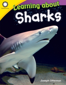 Learning about Sharks