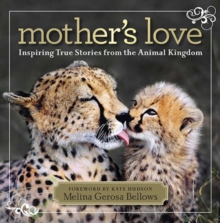 Mother's Love : Inspiring True Stories from the Animal Kingdom, Hardback Book Mother's Love : Inspiring True Stories from the Animal Kingdom, Hardback Book
