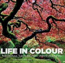 Life in Color : National Geographic Photographs, Hardback Book Life in Color : National Geographic Photographs, Hardback Book