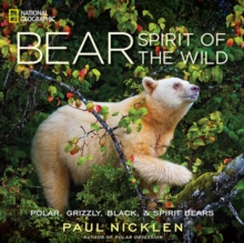 Bear : Spirit of the Wild, Hardback Book Bear : Spirit of the Wild, Hardback Book