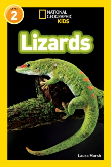 National Geographic Kids Readers: Lizards, Paperback / softback Book National Geographic Kids Readers: Lizards, Paperback / softback Book