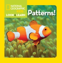 Look and Learn: Patterns, Board book Book Look and Learn: Patterns, Board book Book