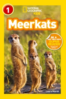 Meerkats, Paperback Book Meerkats, Paperback Book