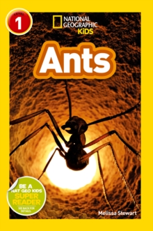 National Geographic Kids Readers: Ants, Paperback Book National Geographic Kids Readers: Ants, Paperback Book