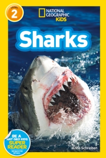 Sharks, Paperback Book Sharks, Paperback Book
