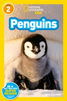 National Geographic Kids Readers: Penguins, Paperback Book National Geographic Kids Readers: Penguins, Paperback Book