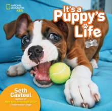 It's a Puppy's Life, Hardback Book It's a Puppy's Life, Hardback Book