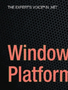 Windows Azure Platform