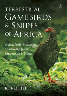 Terrestrial gamebirds & snipes of Africa : Guineafowls, Francolins, Spurfowls, Quails, Sangrouse & Snipes, Paperback / softback Book Terrestrial gamebirds & snipes of Africa : Guineafowls, Francolins, Spurfowls, Quails, Sangrouse & Snipes, Paperback / softback Book