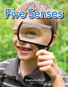 Five Senses